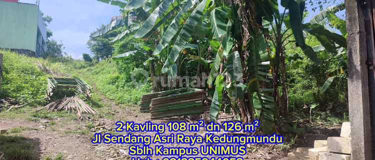 2 Plots of Land for Sale with SHM Ownership Rights, Near Unimus Campus, Kedungmundu, Tembalang, East Semarang 1