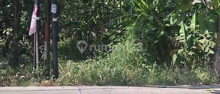 Land for Rent with SHM (Certificate of Ownership) on Jl Raya Sumberejo Meteseh, Tembalang District, East Semarang. 1