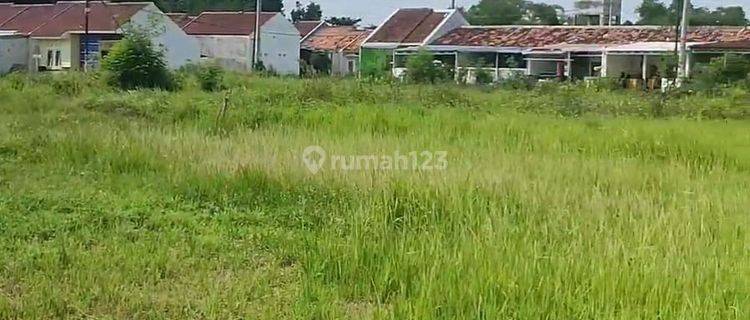 Dijual Tanah Rata 5 18 Hektar Sblh Perum Ivori Batursari Kec Mranggen Semarang Ke Timur 1