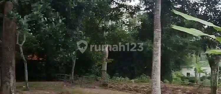 Tanah Dijual SHM Hak Milik Jl Raya Kyai Padak Masjid Kapal Podorejo Kec Ngaliyan Semarang Barat 1