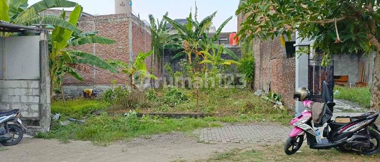 Tanah Pondasi Dijual SHM Hak Milik di Klipang Kel Sendangmulyo Kec Tembalang Semarang Timur 1
