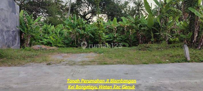 Tanah Dijual SHM Hak Milik  Jl Blambangan kel Bangetayu Wetan Genuk Semarang Timur 1