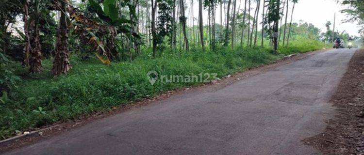 Tanah Dijual Hak Milik di Jl Raya Kyai Padak Masjid Kapal Kel Wonoplumbon Mijen 1