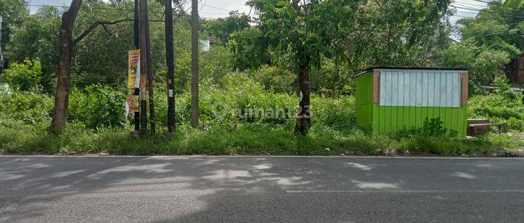 Tanah Dijual SHM Hak Milik di Jl Raya Elang Kel Mangunharjo Tembalang Semarang Timur 1