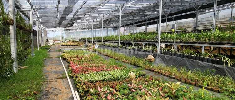 Land for Sale with SHM Ownership Rights for Hotel on Jl Raya Jimbaran Bandungan, Semarang Regency 1