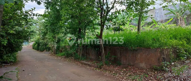 Bawah NJOP Tanah Dijual SHM Hak Milik Jl Semeru Karang Rejo Gajahmungkur Semarang Selatan 1