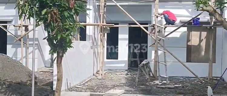 Rumah Ready Baru 2 LT Dijual Jl Raya Lebar di Bpd 3 Tlogomulyo Pedurungan Semarang Timur 1