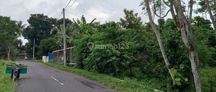 Tanah 2 Jutaan Pingir Jalan Timur Pasar Gentan Dekat SD Model 1