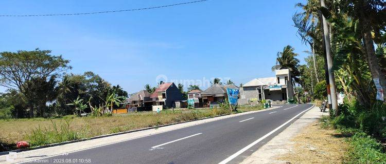 Tanah 2 Jutaan Aja di Jalan Kaliurang Km 14 Kawasan Kampus Uii 1