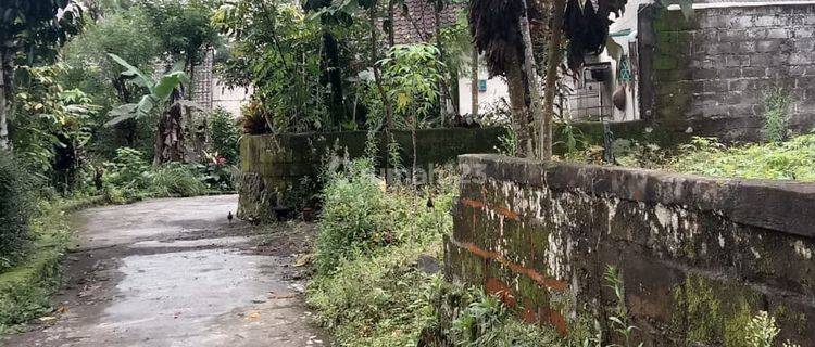 Investasi Tanah Pekarangan di Turi Hampir 1000 Meter Dijual Murah 1