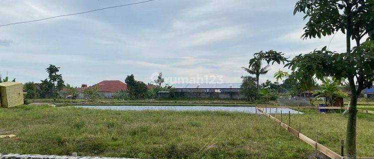 Tanah Cantik View Gunung Merapi Strategis di Jalan Kaliurang 1