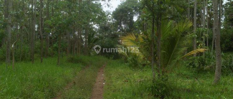 Dijual Tanah Murah Potensial di Rancakalong Sumedang 1