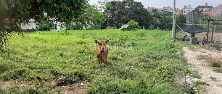 Land For Lease At Canggu, 28 Are, Only 27 Mil are year 1