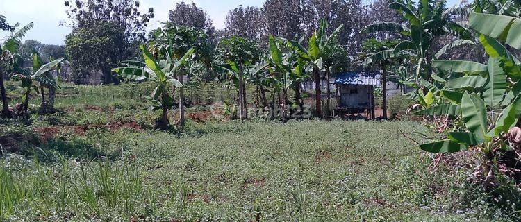 di Jual Tanah Kebun Cocok Untuk Tempat Istirahat di Tapos Kecamatan Ciawi  1