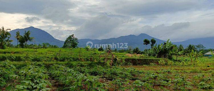 di jual tanah kebun cakep view gunung di parungkuda sukabumi 1