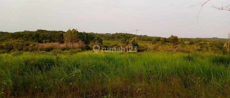 Di Jual Kebun Murah Di Cimangu Pandeglang 1