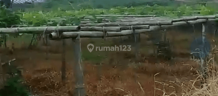Di Jual Tanah Untuk Pertanian/peternakan Di Takokak Cianjur 1