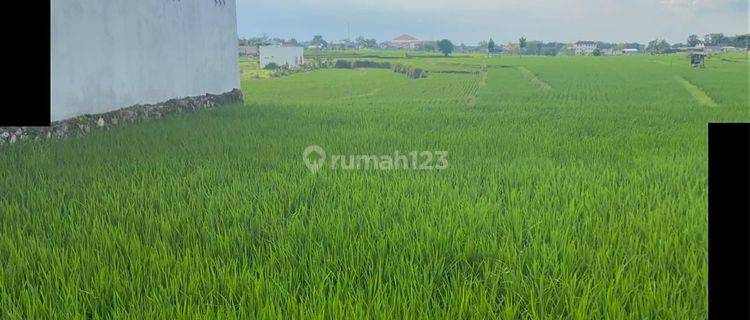 Tanah Kavling 300 m² SHM di Jl Dr Sutomo, Tegal Asri Karang Anyar 1