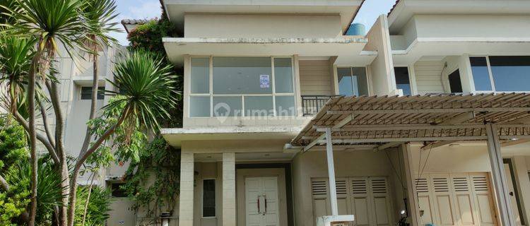 Disewakan Segera Rumah Cluster Goldfinch, Springs. Gading Serpong  1