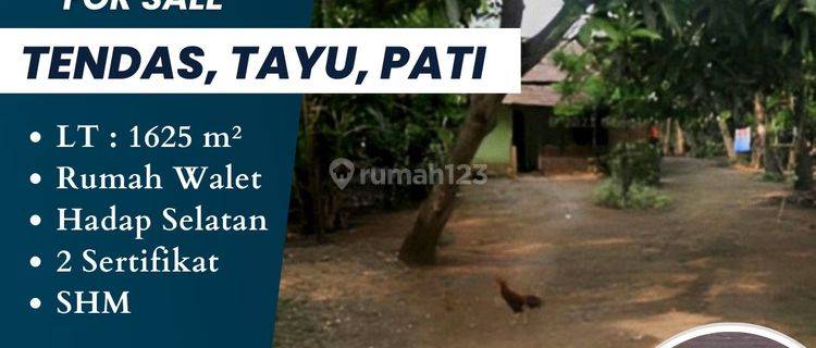 DIJUAL TANAH 2 KAVLING ADA RUMAH WALET TENDAS TAYU PATI 1