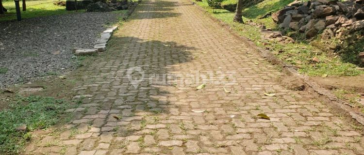 Rumah Harga Njop, Berada Di Tanah Yang Luas Cocok Bikin Cluster 1