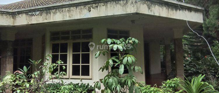 Rumah Lama, Lingkugan Tenang Asri, Siap Huni, Menteng 1