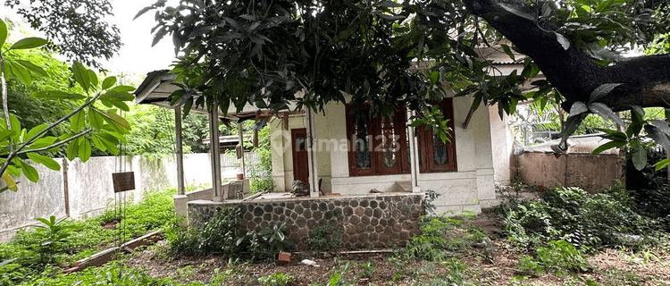 Dijual Rumah Tua Hitung Tanah di Menteng Lokasi Strategis 1