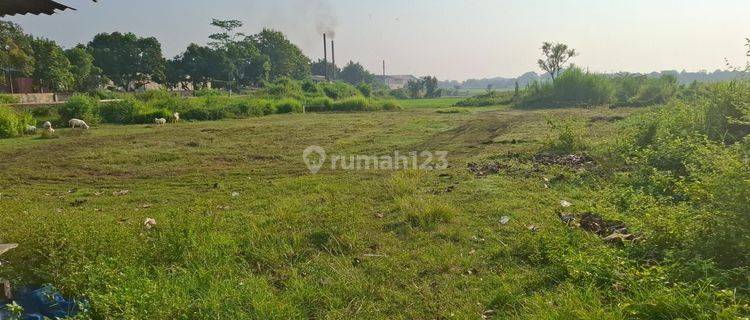 TANAH KERING ZONA MERAH INDUSTRI AKSES CONTAINER 1