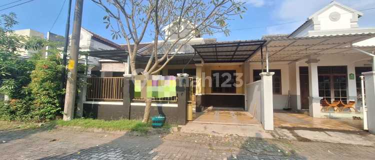 Rumah Minimalis Modern 1 Lantai Solo Baru  1