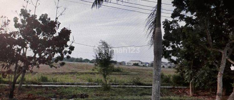 Dijual Tanah Komersil di Indramayu Jawa Barat 1