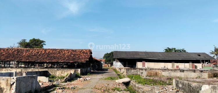 Dijual Kavling Ex Peternakan Kedung Waringin, Karang Mekar Bekasi 1