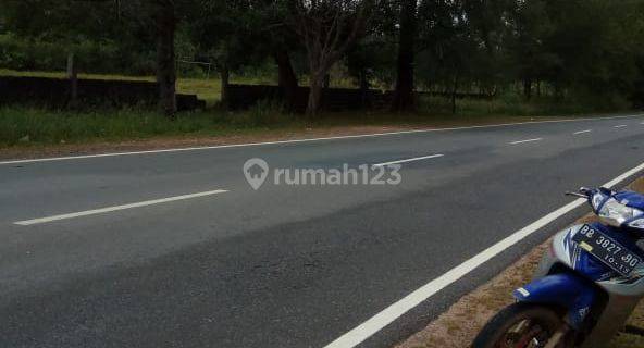 Dijual Cepat Tanah Lokasi Sangat Strategis Dekat Pantai Trikora, Kantor Dinas, Jalan Utama Provinsi Di Bintan Timur Riau Cocok Untuk Pom Bensin, Tempat Wisata Dan Lain lain 1