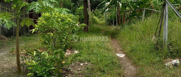 Lahan 4ha Dkt Tol Brebes Timur Dan Adiwerna Tegal Shm Strategis 1