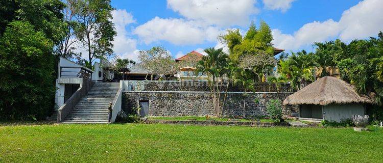 Hot List of Villas for Sale in Tuka Dalung Badung Location 1