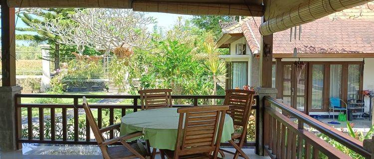 Hot List Di Jual Villa Lokasi Batuan Sukawati Gianyar 1