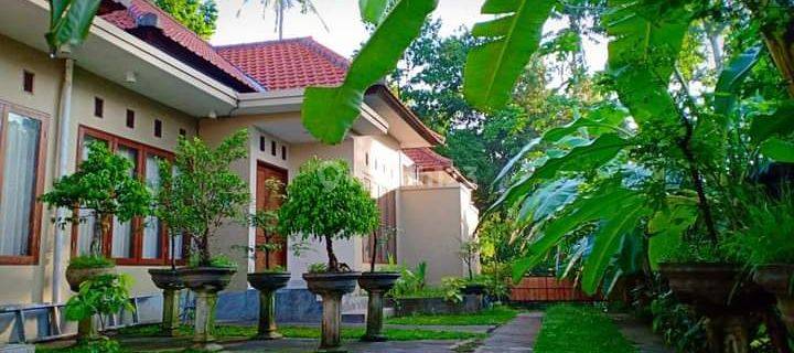 Hot List Di Jual Guesthouse Semi Villa Lokasi Kemenuh Gianyar  1