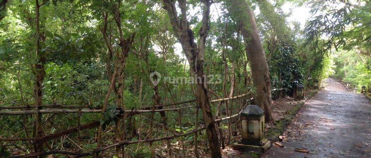 TOP URGENT LAND FOR SALE LAUR VIEW PECATU LOCATION SOUTH KUTA BADUNG 1