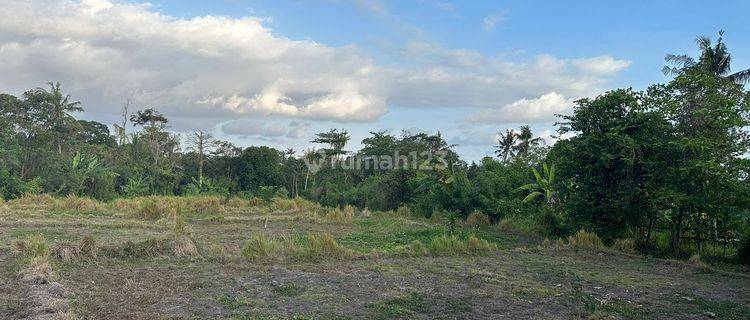 PASTI CLOSING DI SEWAKAN TANAH LOKASI NYANYI BERABAN KEDIRI TABANAN  1