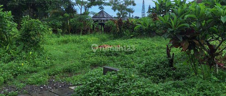 Tanah Strategis View Sawah Di Ubud Untuk Investasi 1