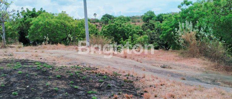 Tanah Tegalan 50 Are Murah Di Kubu Tambahan 1