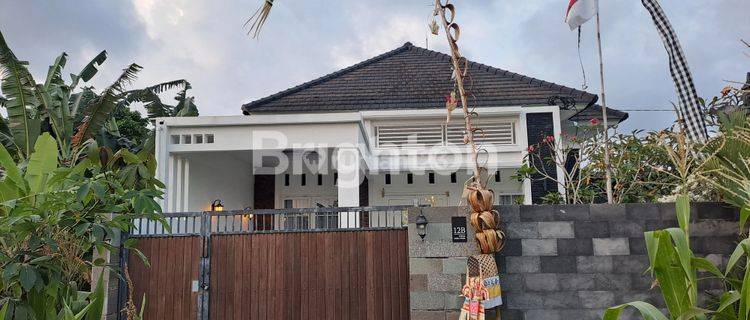 RUMAH BARU 1 LANTAI ASRI DI TENGAH SAWAH 1