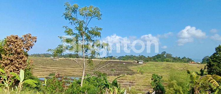 BEAUTIFUL AND PERFECT LAND IN THE MIDDLE OF RICE FIELDS NEAR YEH GANGGA BEACH 1