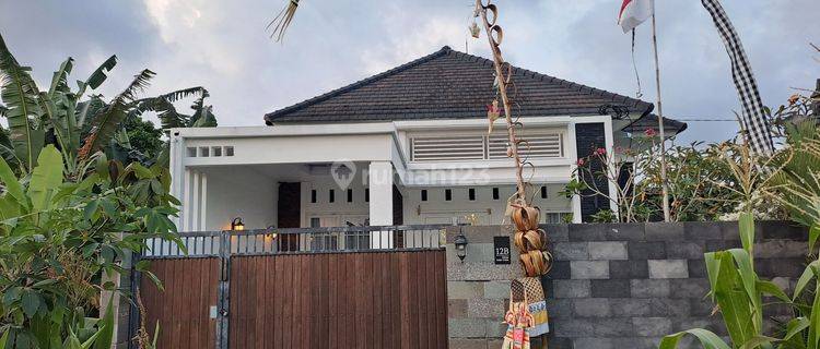 Rumah Baru 1 Lantai Asri Di Tengah Sawah Nuansa Pedesaan 1