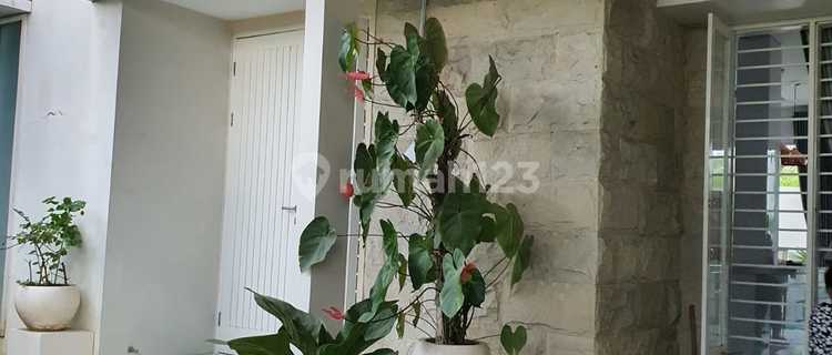 Beautiful Fully Furnished House Ready to Occupy in Dalung 1