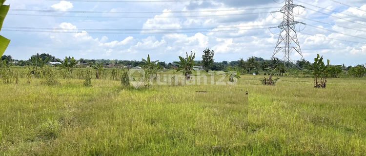 Dijual Tanah Klepu Pringapus Ungaran 1