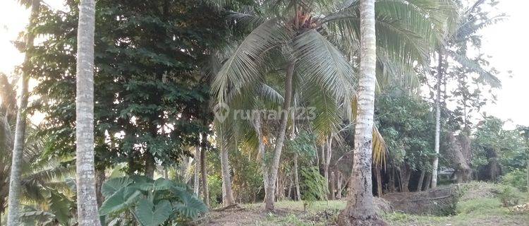 Tanah View Sawah Dekat Furama Ubud, Green School Dan Pelangi School 1