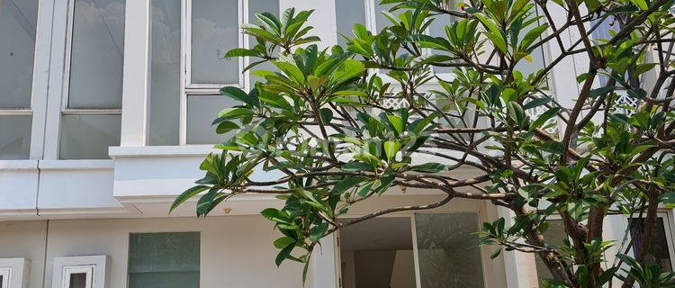 Jual Murah Rumah Di Grand Pakuwon , Tandes Surabaya  1