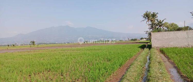 Tanah di Sukamanah Bojong Kunci, Bandung 1