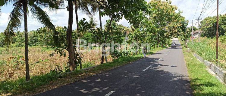 BU  CEPAT TANAH PINGGIR JALAN PRACIMANTORO - WONOSARI 1