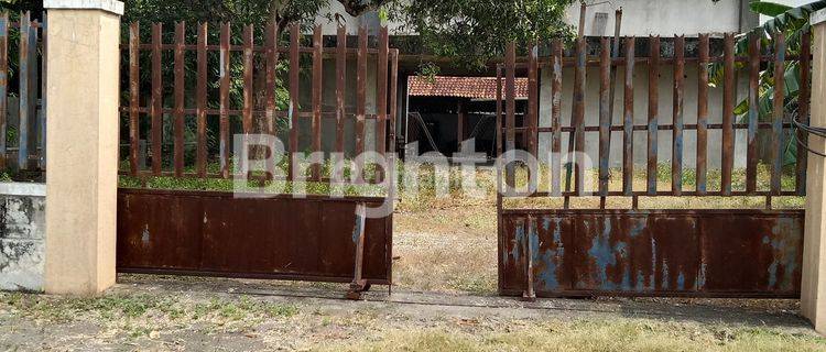 RUMAH SARANG WALET DAN SRITI DI WATES KULON PROGO 1